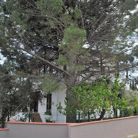 Beyaz Konak Guere Bagian luar foto